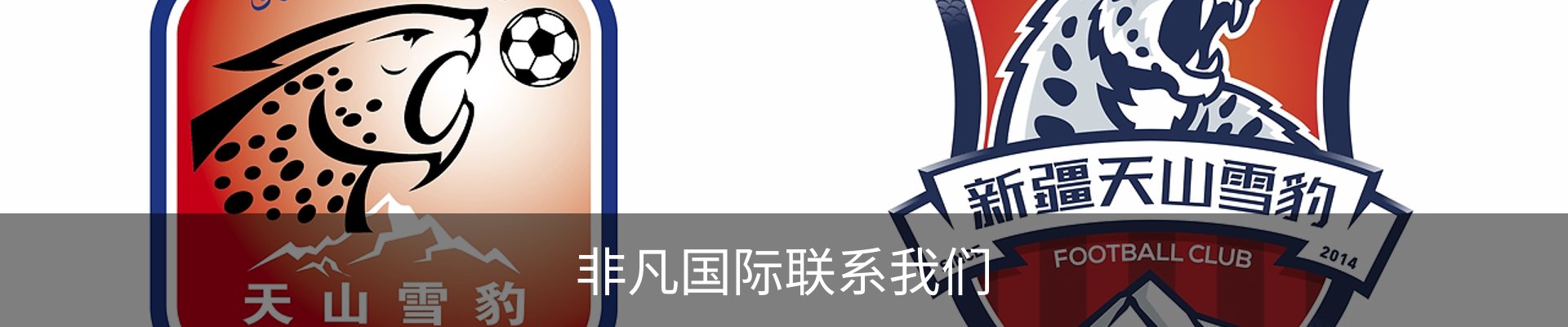 非凡国际联系我们